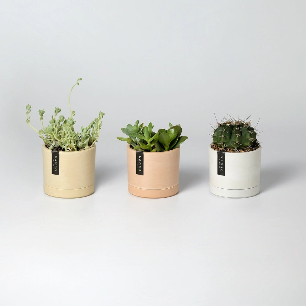 PLANTERS - ET Mini Planters - 3.5"
