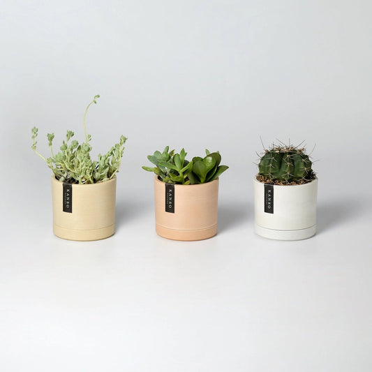 PLANTERS - ET Mini Planters - 3.5"