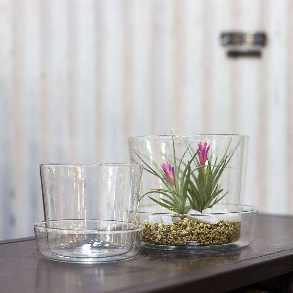 PLANTERS - GLASS PLANTER W/ SAUCER - 6.25" - CLEAR