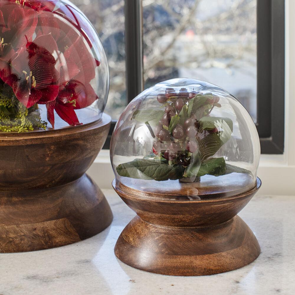 PLANTERS - Globe Cloche - 8"