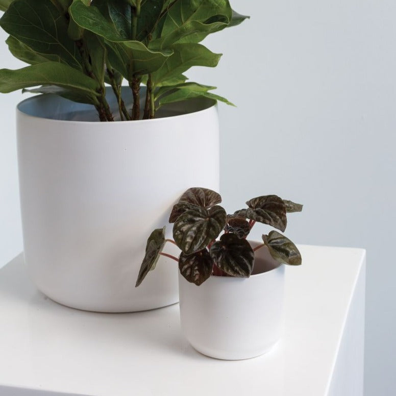 PLANTERS - Kendall Pot - 3.25" (White)