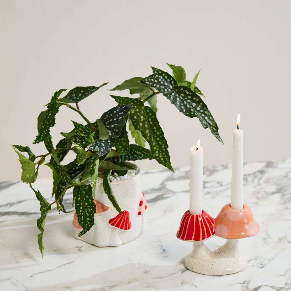 PLANTERS - Mushroom Holder