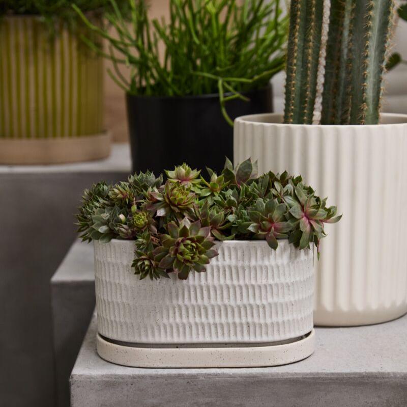 PLANTERS - Zelle Planter - 9"