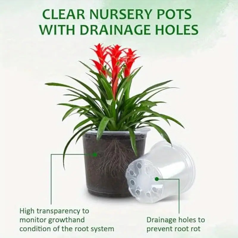 Lux Clear Nursery Pot