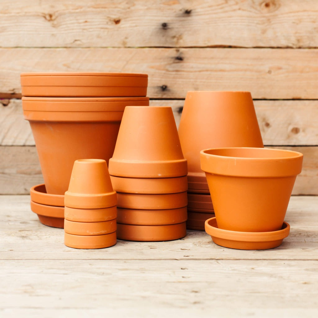 German standard pot - 8"