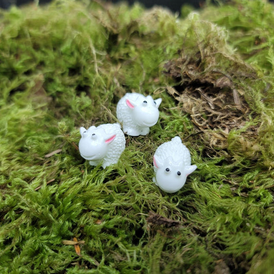 TERRARIUM - Garden Decor - Lamb