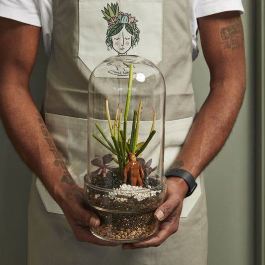 TERRARIUM GLASS - Griffith Terrarium - 6.5"