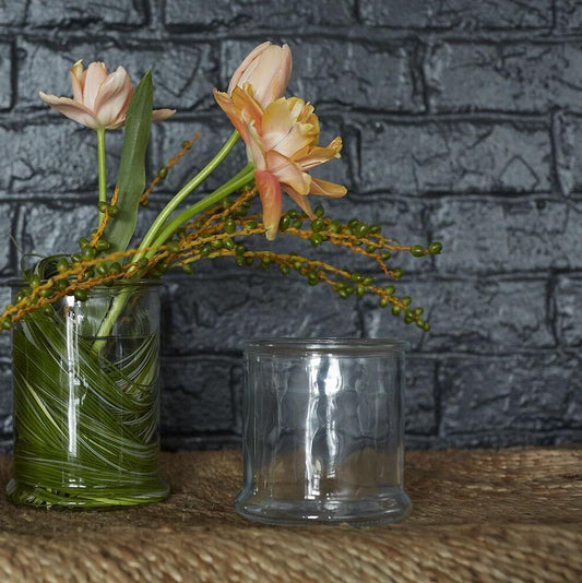 TERRARIUM GLASS - Veza - 5"