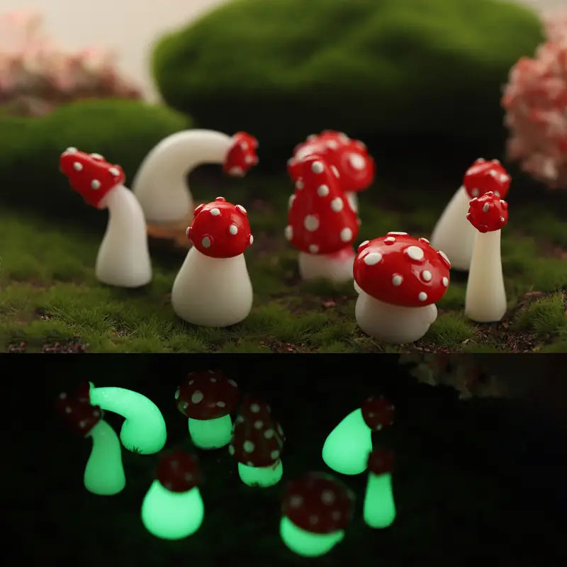 TERRARIUM - GLOW MUSHROOM