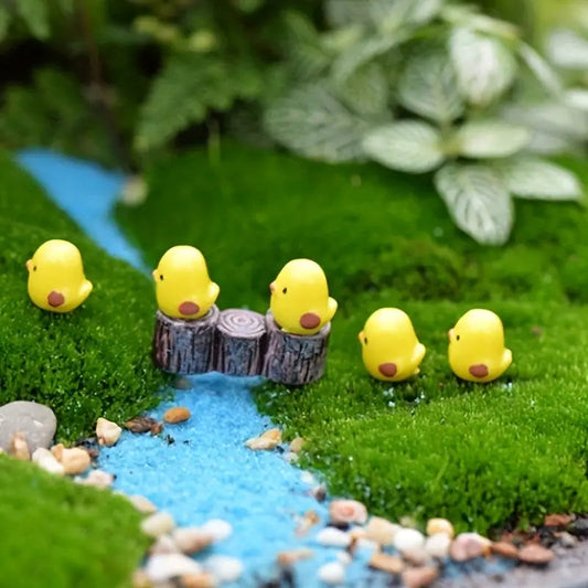 TERRARIUM - ITTY DUCKIES