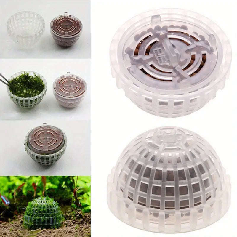 TERRARIUM - Moss Ball Holder