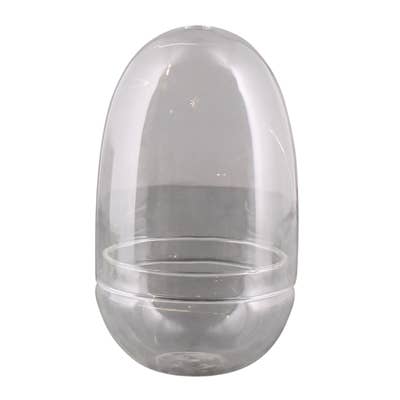 TERRARIUM - Sole Terrarium, Glass - Oval, Sm