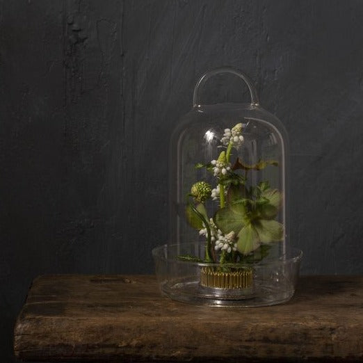 TERRARIUM - Venta Terrarium