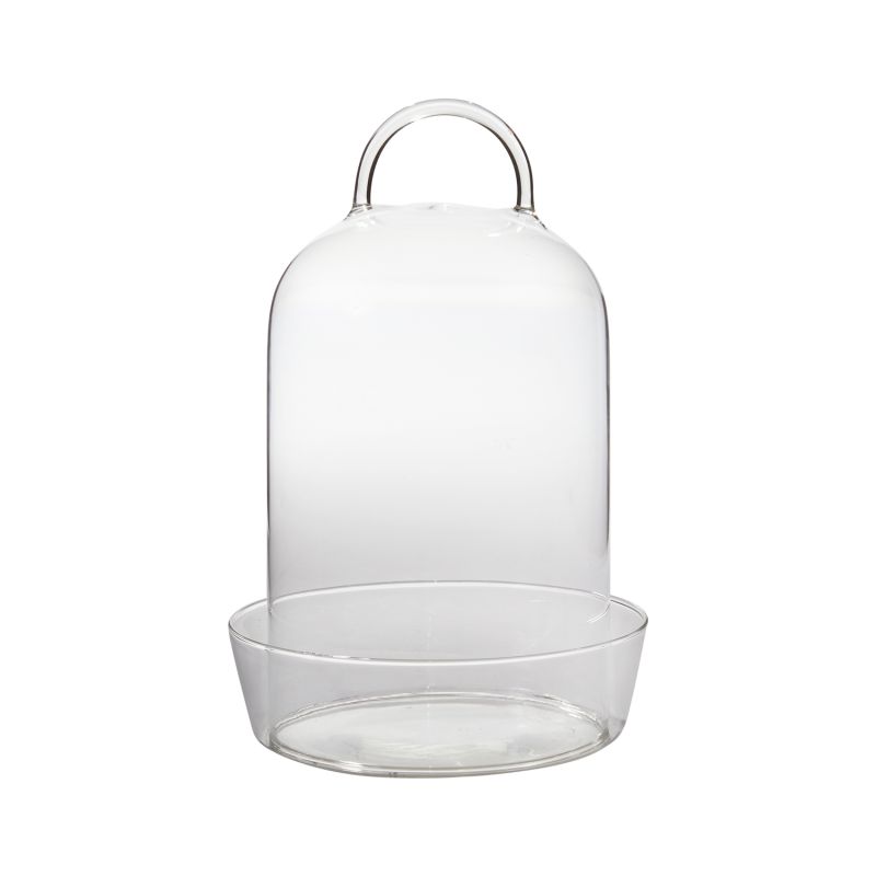 TERRARIUM - Venta Terrarium