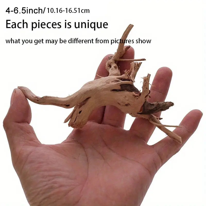 TERRARIUM WOOD - Spider Wood