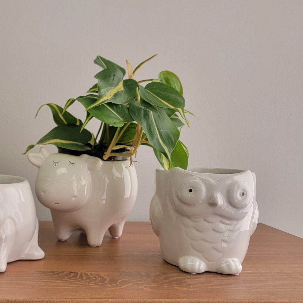 Ceramic Animals Planter (white) - 5"
