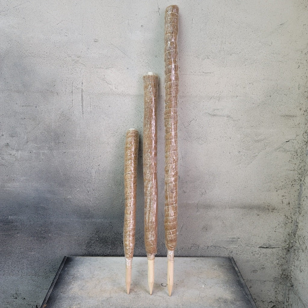 PLANT SUPPLIES - COIR MOSS TOTEM POLE - 24"