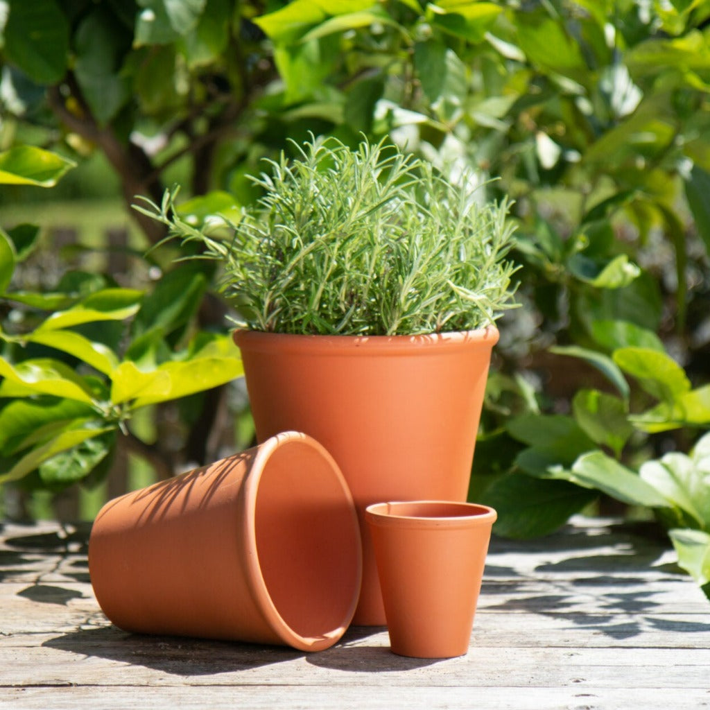 PLANTERS - EURO ROSE POT - 4"