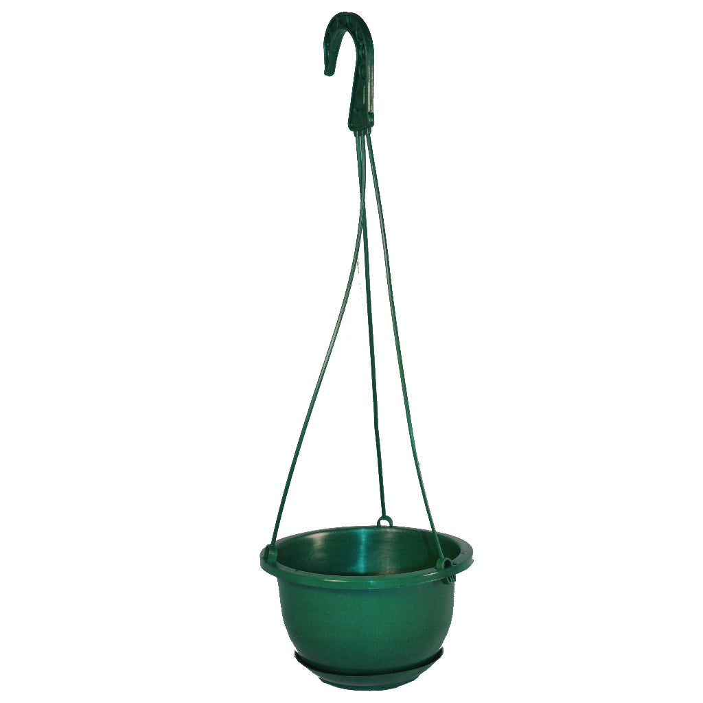 Hanging Basket with Saucer - 6in