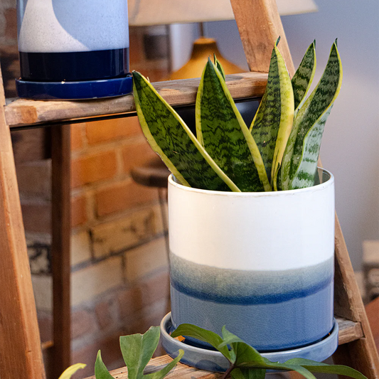 Minute Pot - Blue Layers