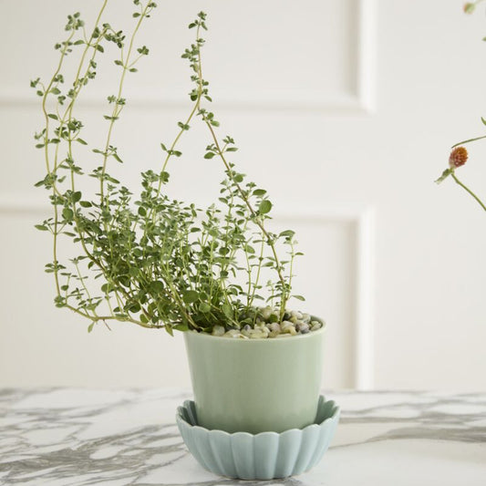 Springvale Pot - Light Green