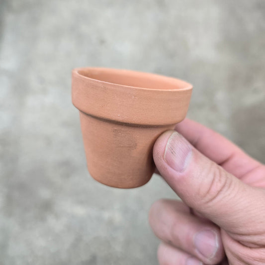 Deroma standard pot - 2.1"