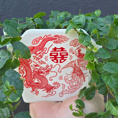 Take Out Ceramic Pot