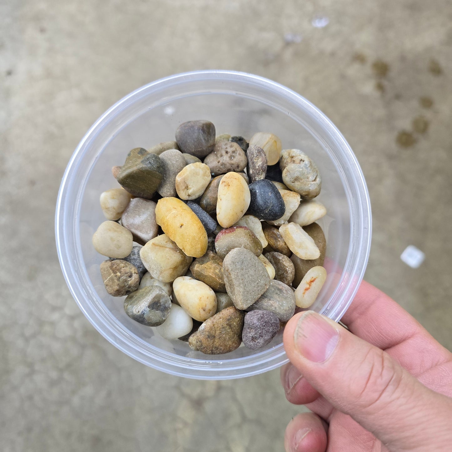 Decor Pebbles - natural