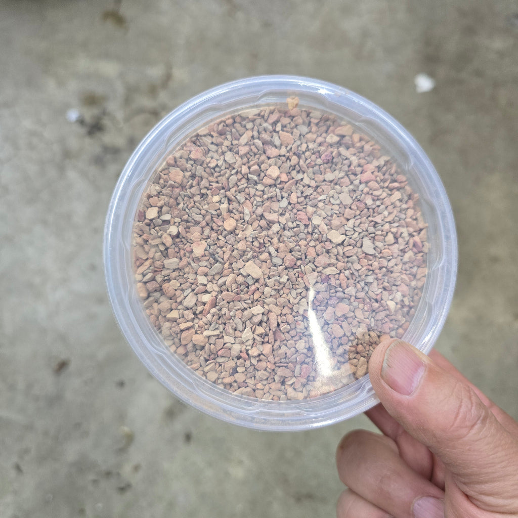 Microbe-lift media
