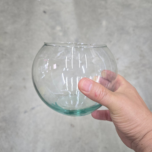 Glass Terrarium Bowl