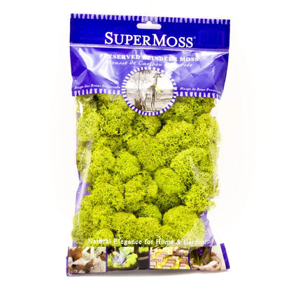 Reindeer Moss