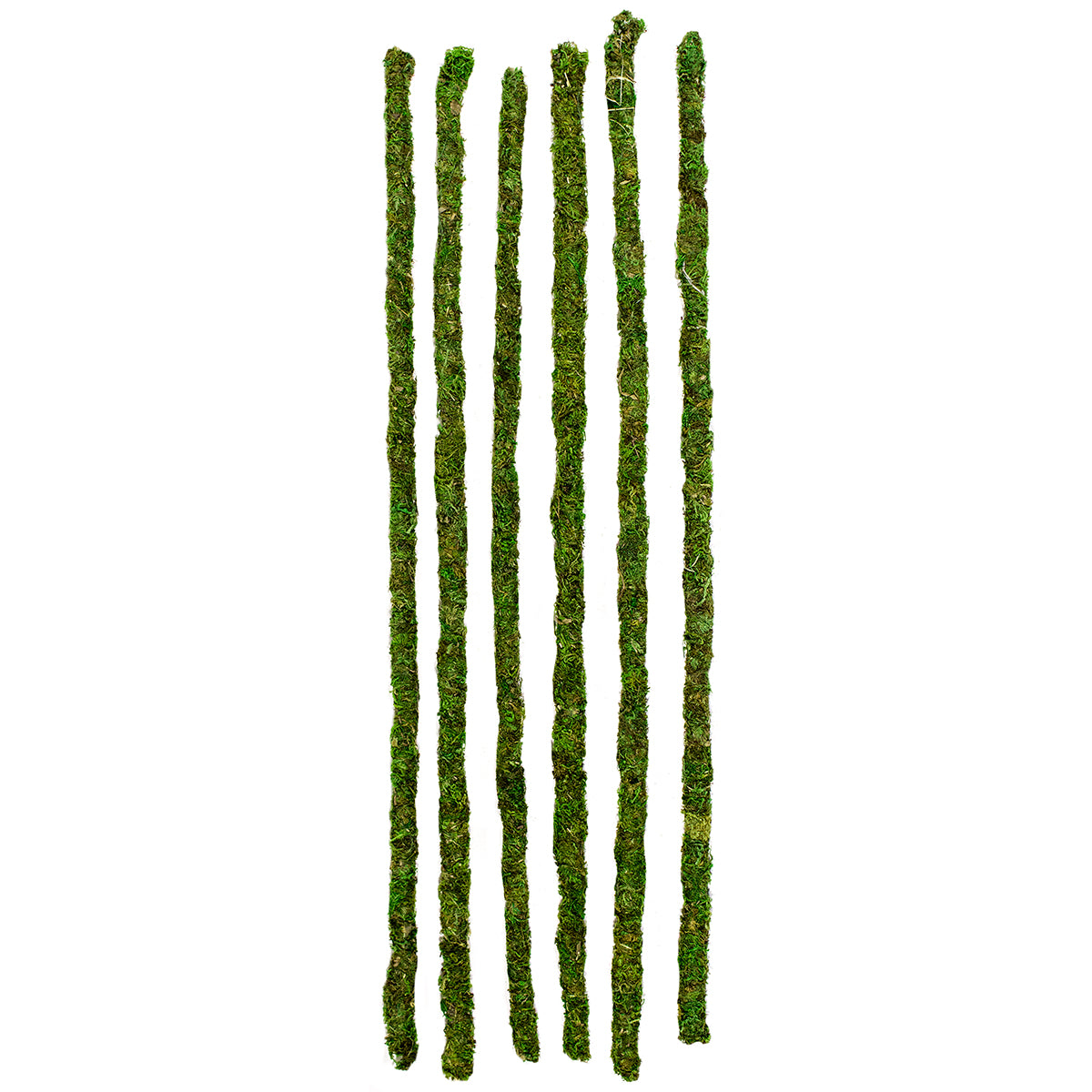 Natural Moss Stake - 24"