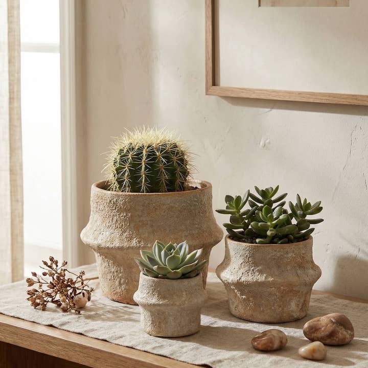 Solene Planter - 3.75"