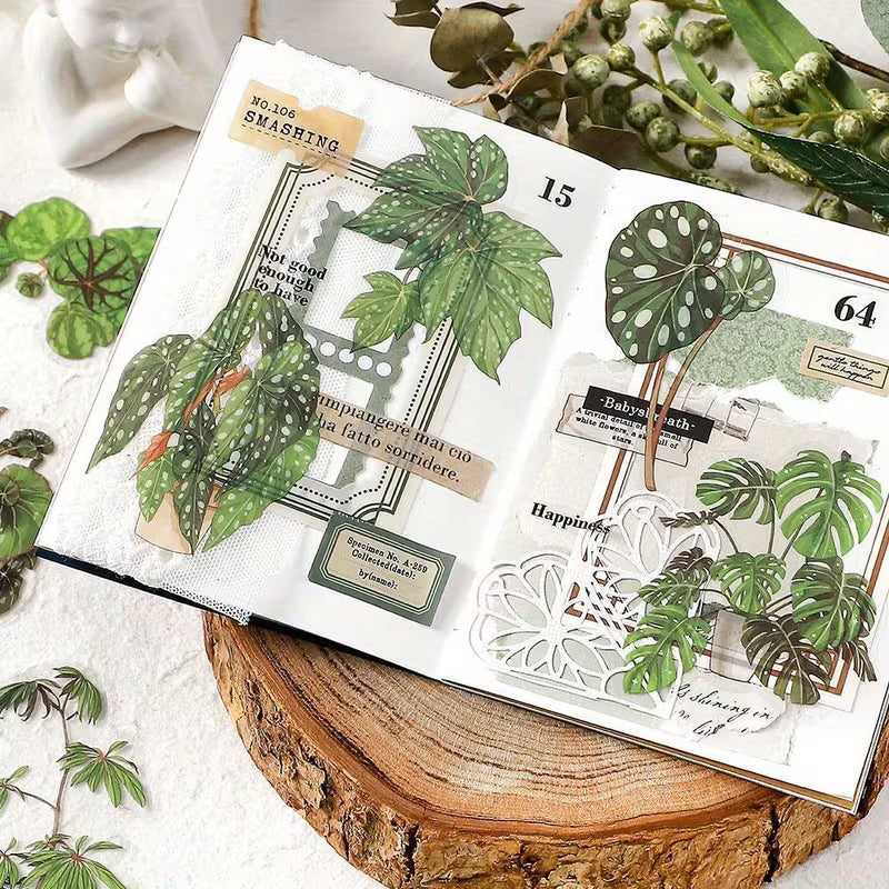 Vintage Houseplant sticker pack