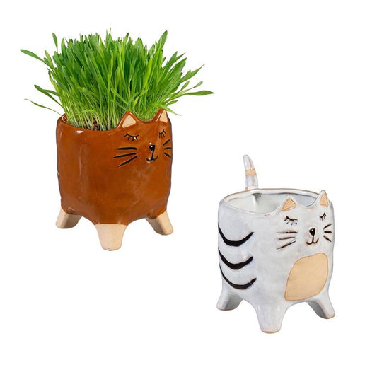 Ceramic  Cat Planter - asst