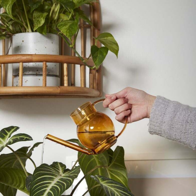 Pequeno Watering Can