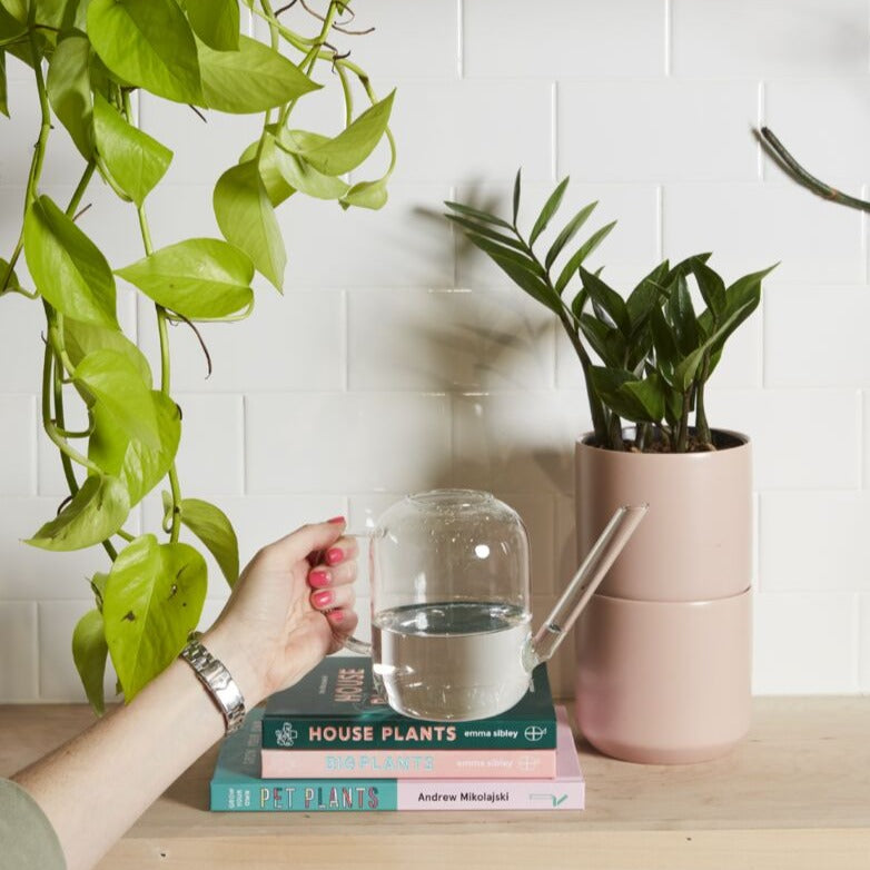 Pequeno Watering Can