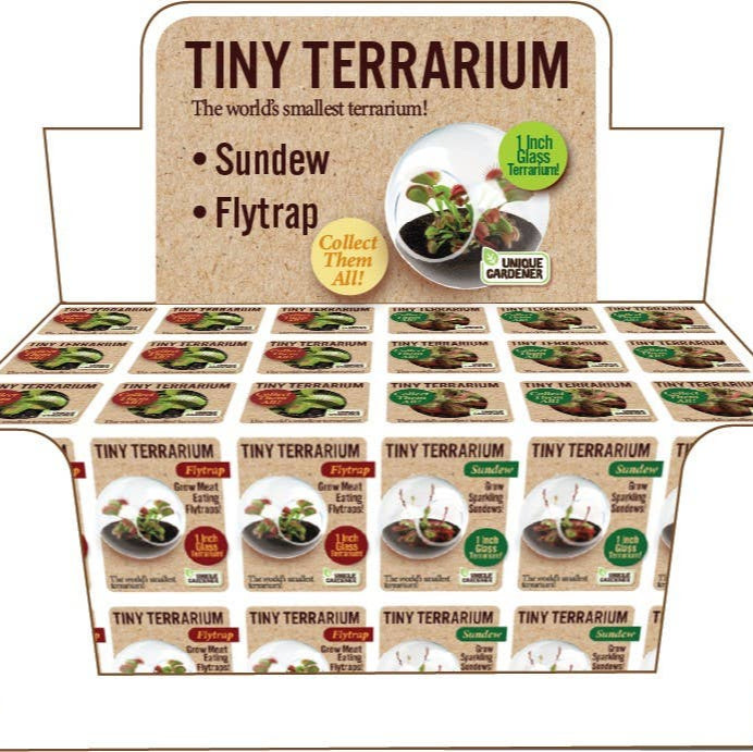Tiny Terrarium Carnivorous Glass Terrarium