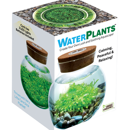 WaterPlants
