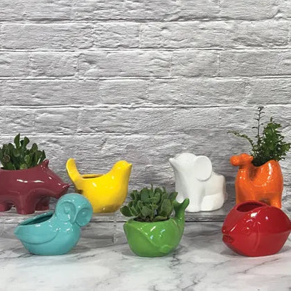 Animal Pop Planter - 5"