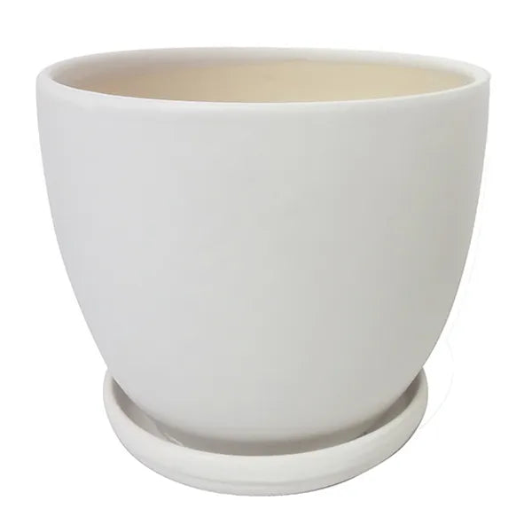 Egg Pot -7.25" (white)