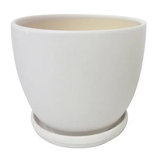 Egg Pot -7.25" (white)