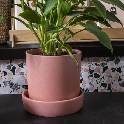 Watson Pot (pink) - 6.75"