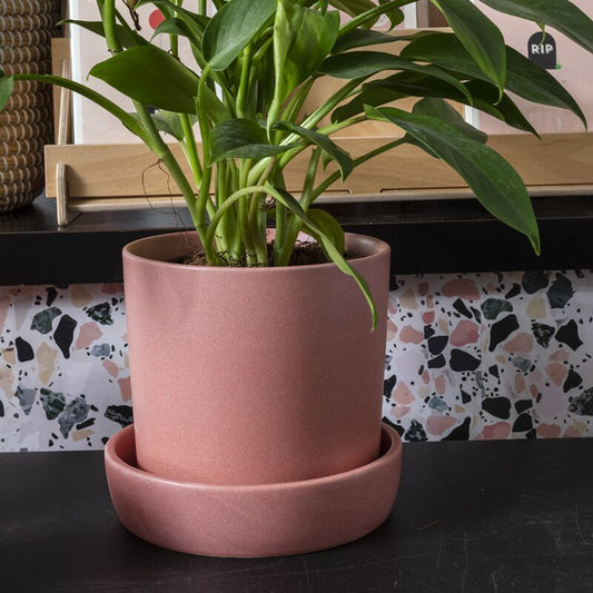 Watson Pot (pink) - 6.75"