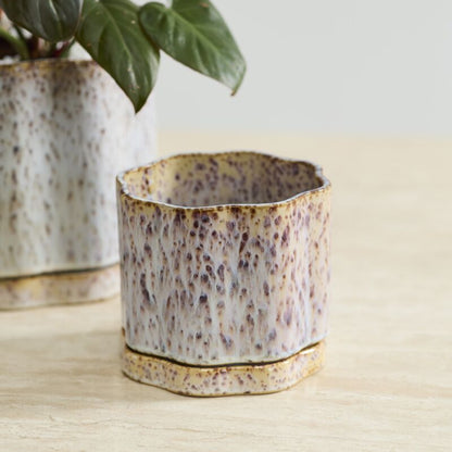 Avenell Pot - 7.5"