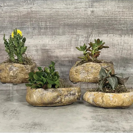 Baylor Rock Planters - Assorted