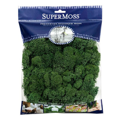 Reindeer Moss