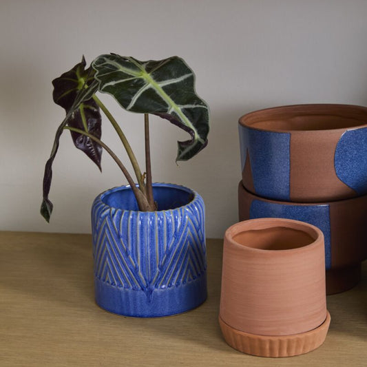 Refresh Pot - 5.75"