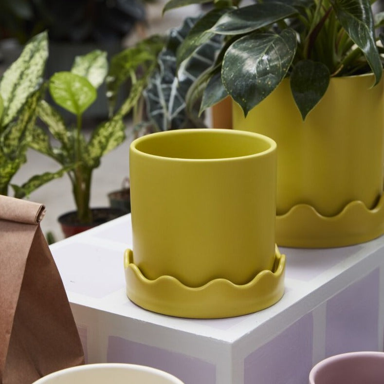 Pissaro Pot - 6" (yellow)