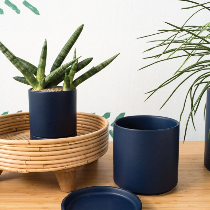 Romey - 5" dark blue